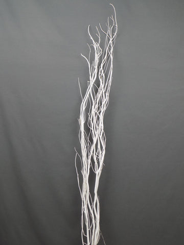 Branche de Curly Willow